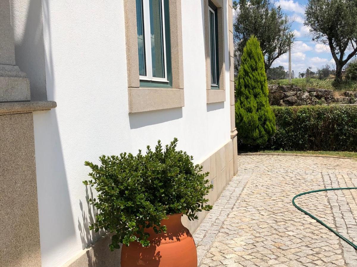 Solar Da Serra-Guesthouse Mangualde Dış mekan fotoğraf