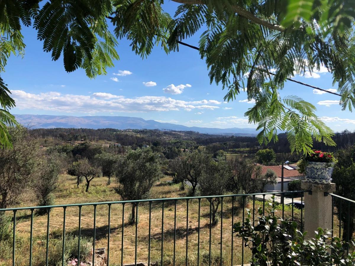 Solar Da Serra-Guesthouse Mangualde Dış mekan fotoğraf