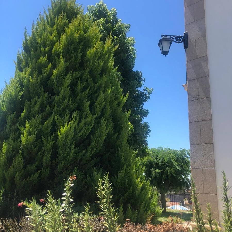 Solar Da Serra-Guesthouse Mangualde Dış mekan fotoğraf
